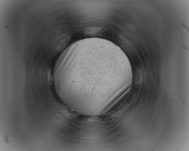 X0000098120420200804251456