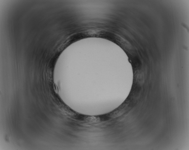 X0000098120421200804251456
