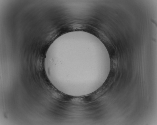 X0000098120422200804251456