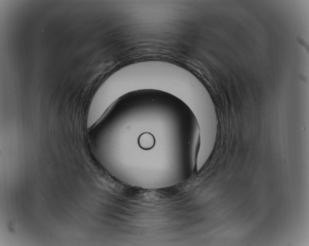 X0000098120423200804251456
