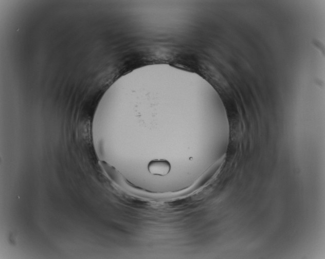 X0000098120425200804251456