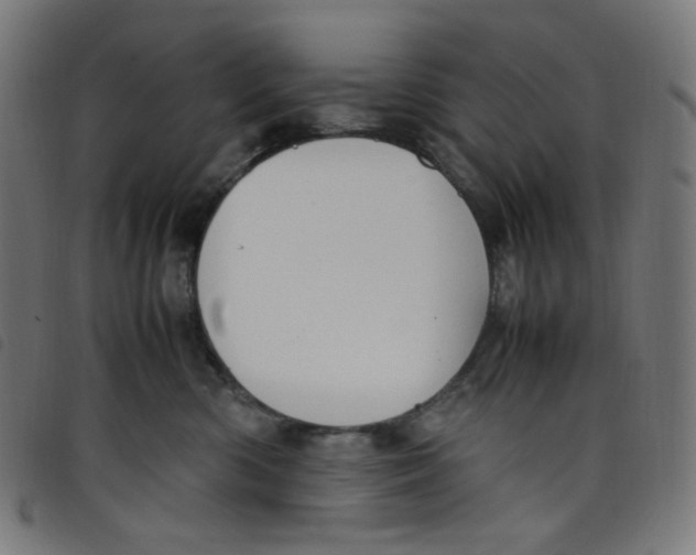 X0000098120426200804251456