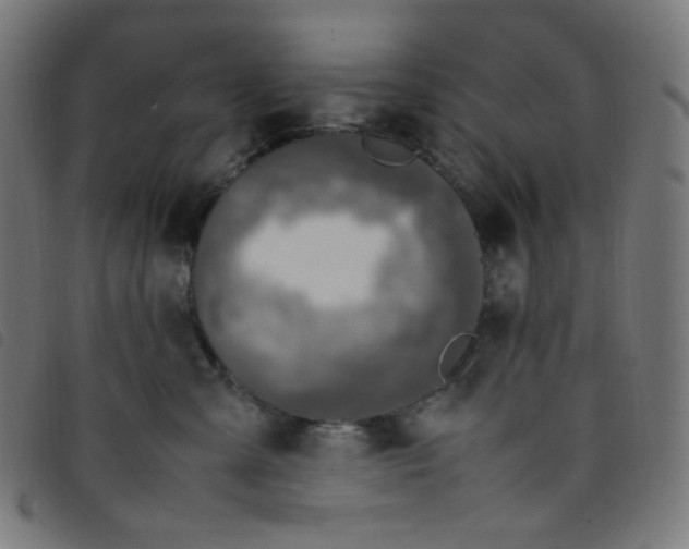 X0000098120427200804251456