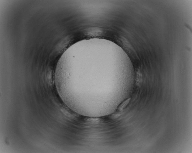 X0000098120428200804251456