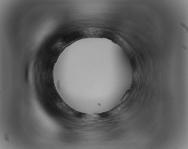 X0000098120429200804251456