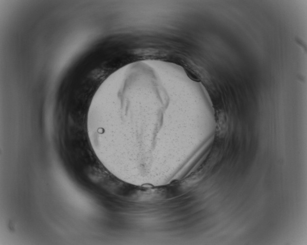 X0000098120430200804251456