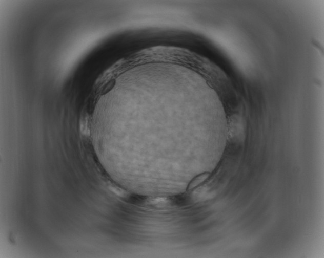 X0000098120431200804251456