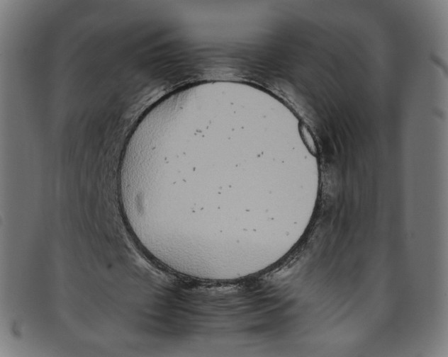 X0000098120433200804251455
