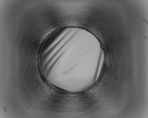 X0000098120434200804251455