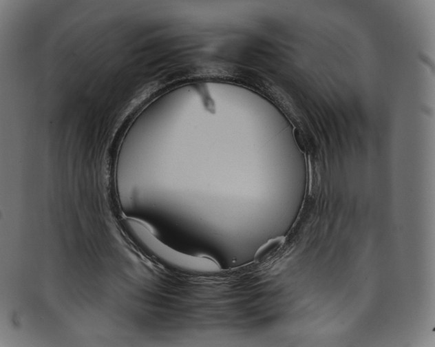 X0000098120435200804251455