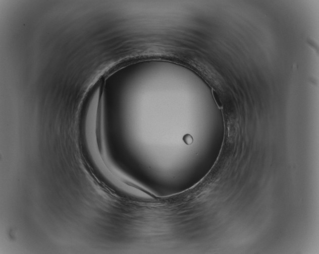 X0000098120436200804251455