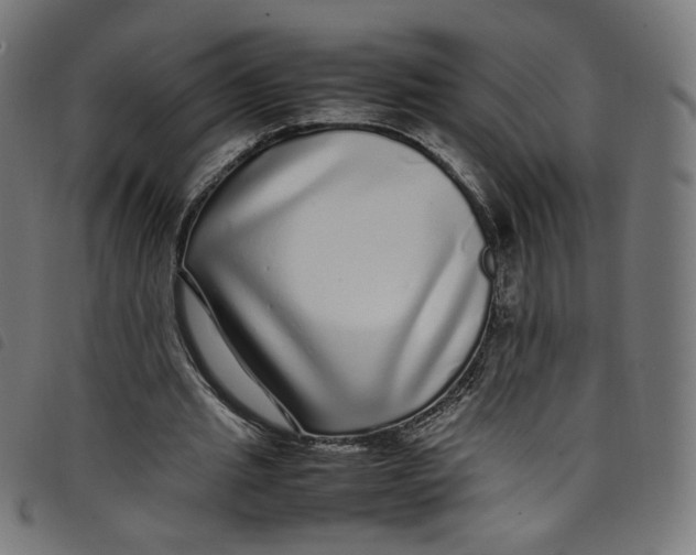 X0000098120437200804251455