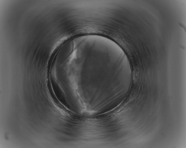 X0000098120438200804251455