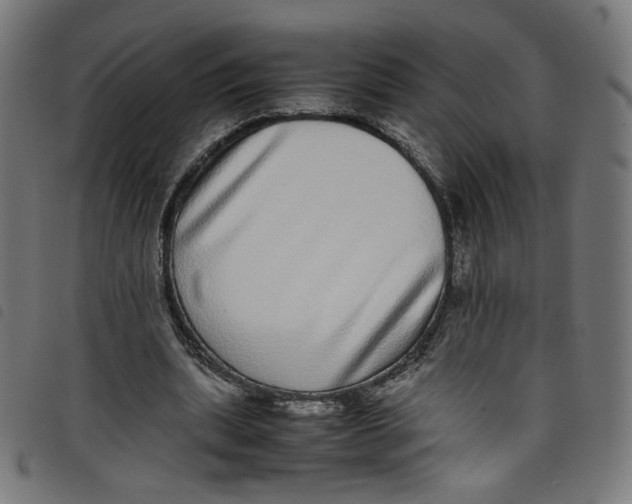 X0000098120439200804251455