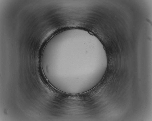 X0000098120440200804251455