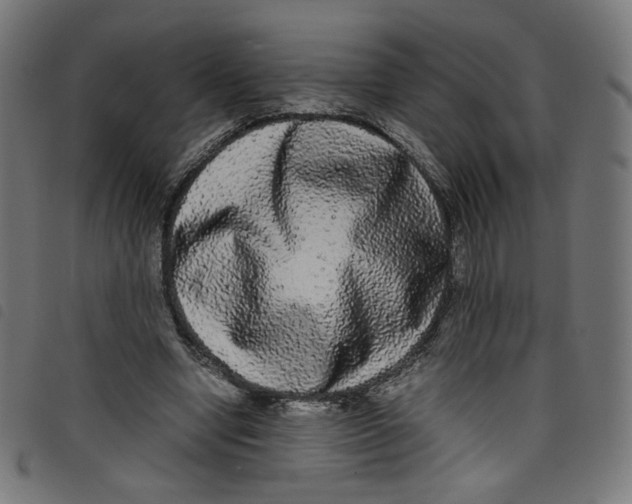 X0000098120442200804251455