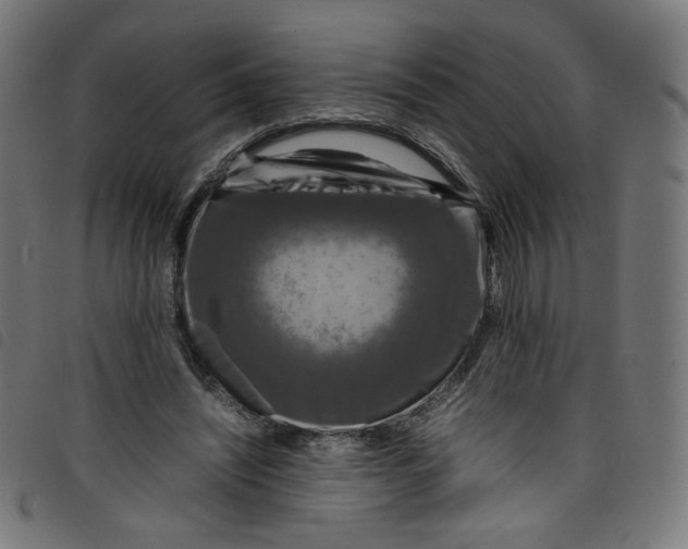 X0000098120444200804251455