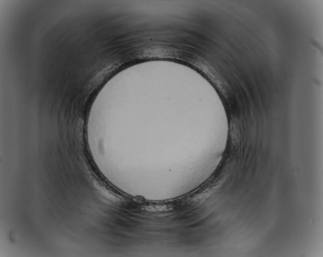 X0000098120445200804251455