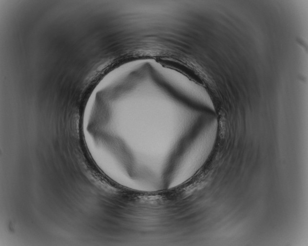 X0000098120446200804251455