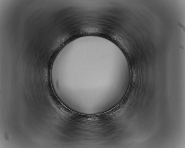 X0000098120447200804251455