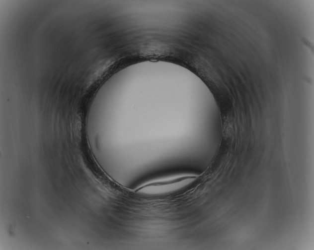 X0000098120448200804251455