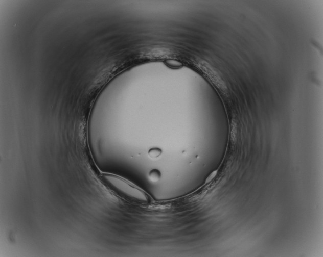 X0000098120449200804251455