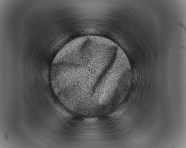 X0000098120450200804251455