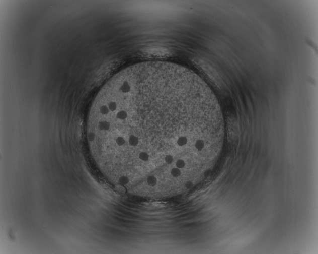 X0000098120451200804251455