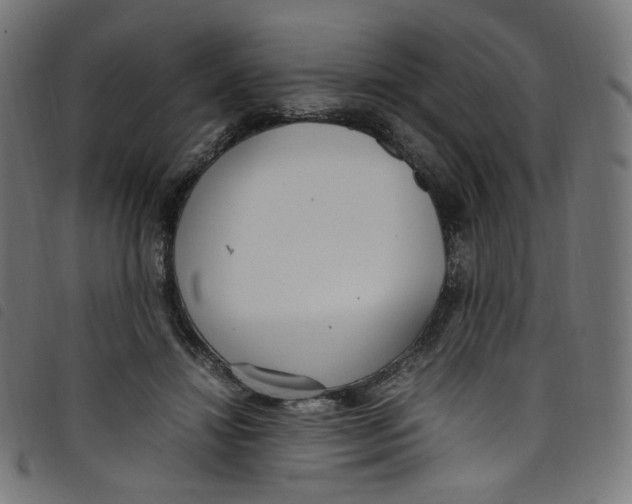 X0000098120452200804251455