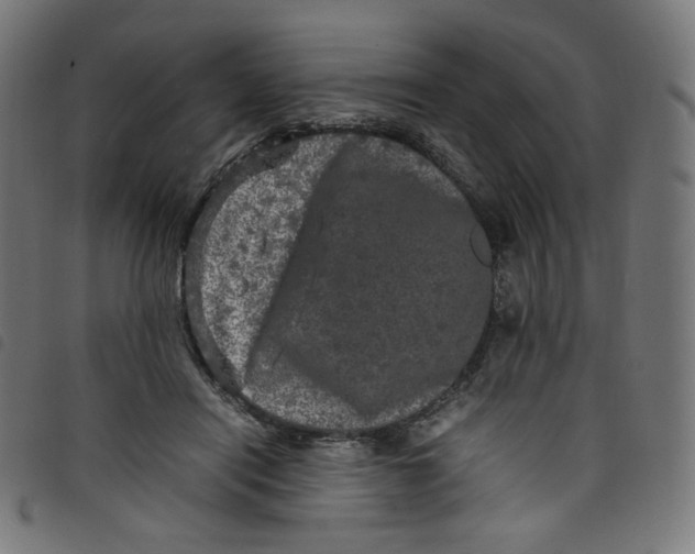 X0000098120454200804251455