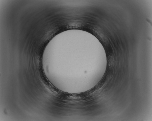 X0000098120455200804251455