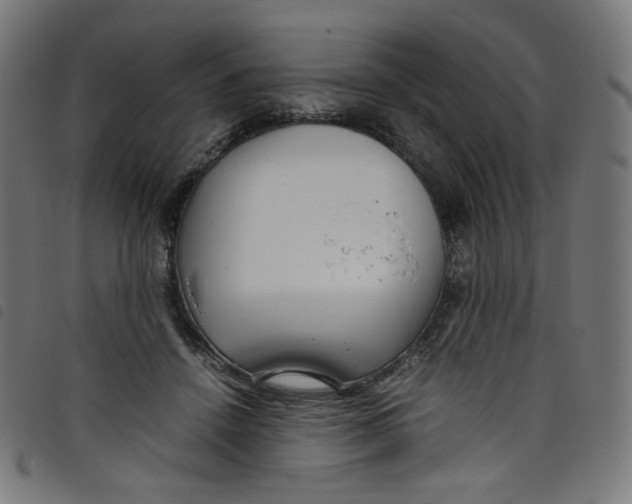 X0000098120456200804251455