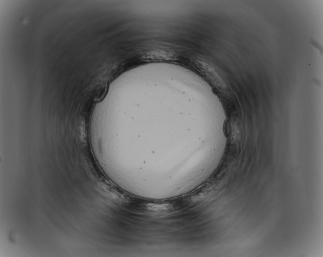 X0000098120457200804251455