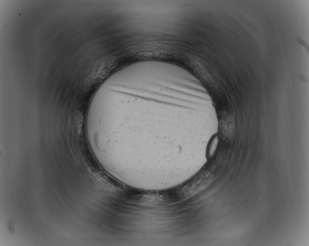 X0000098120458200804251455