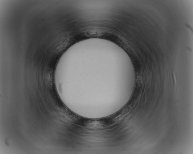 X0000098120460200804251455