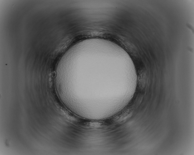 X0000098120462200804251455