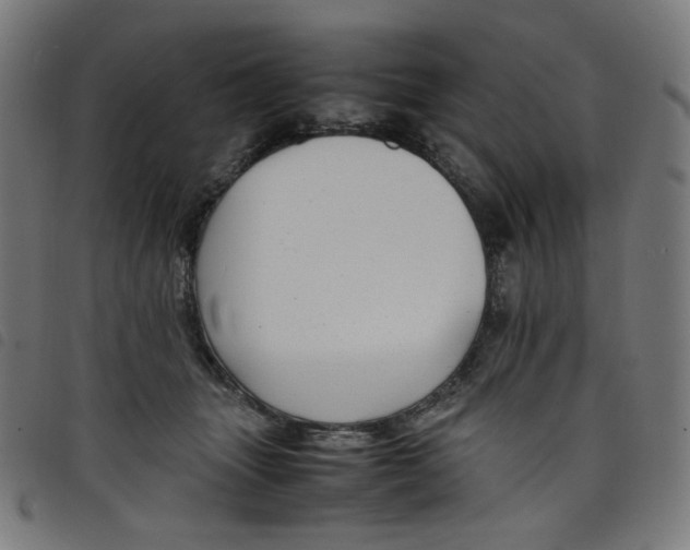X0000098120463200804251456