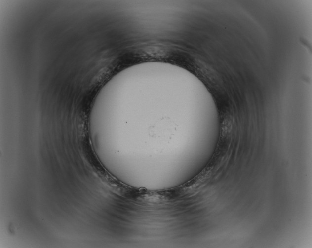 X0000098120464200804251456