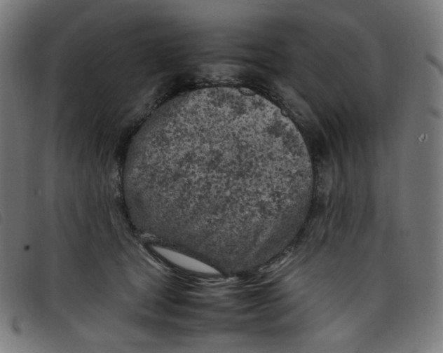 X0000098120465200804251456