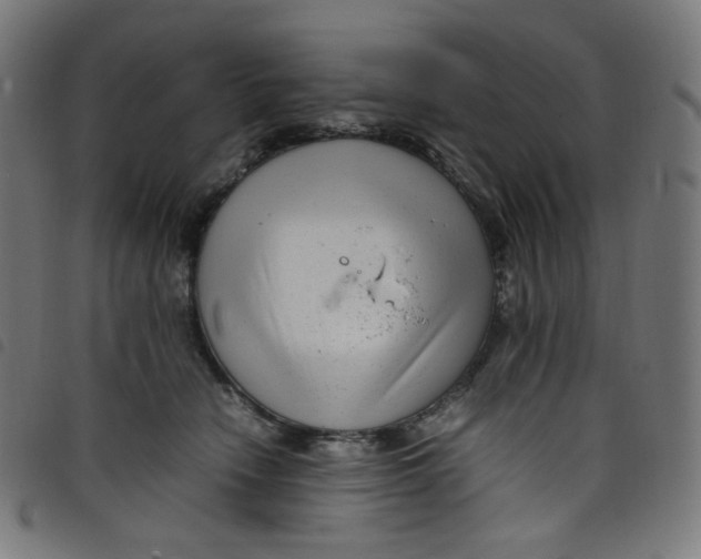X0000098120466200804251456