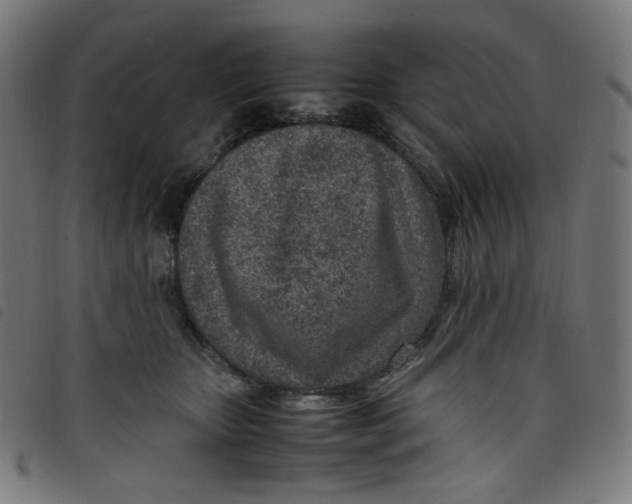 X0000098120467200804251456