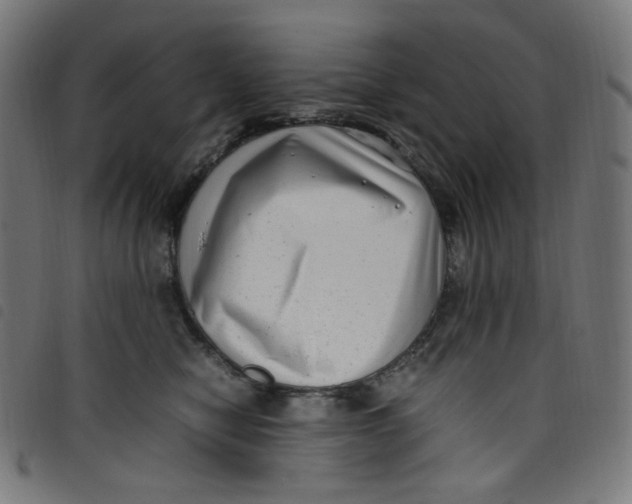 X0000098120470200804251456