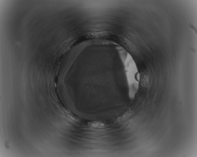 X0000098120471200804251456