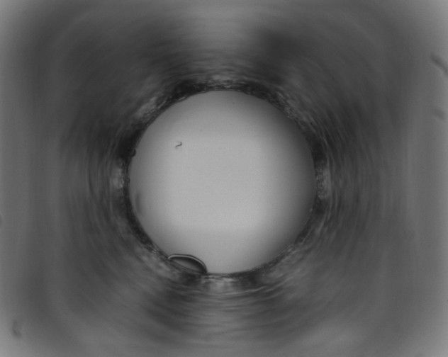 X0000098120472200804251456