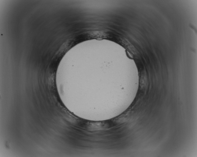 X0000098120473200804251456