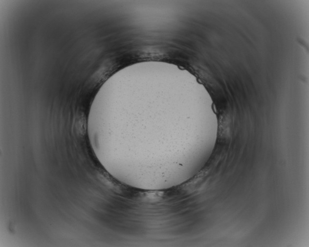 X0000098120474200804251456