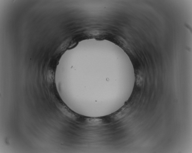 X0000098120476200804251456