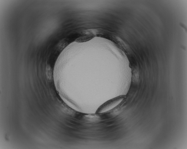 X0000098120477200804251456