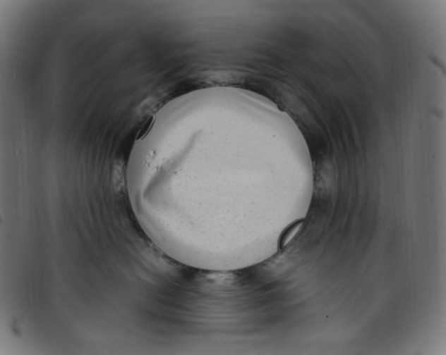 X0000098120478200804251456