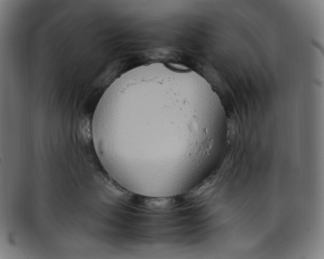 X0000098120479200804251456